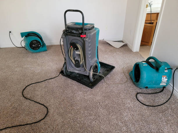 Best Local water damage restoration  in Melvindale, MI