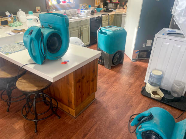 Best 24-hour water damage restoration  in Melvindale, MI