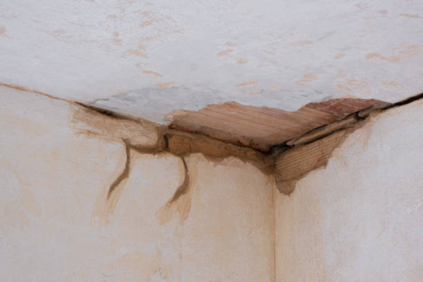 Best Flood damage cleanup  in Melvindale, MI