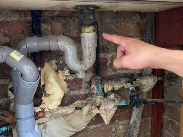 Best Carpet water damage restoration  in Melvindale, MI