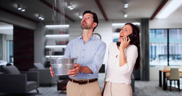 Best Ceiling water damage repair  in Melvindale, MI