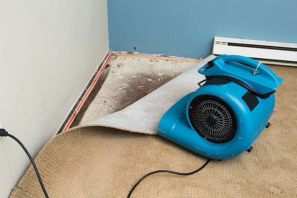 Best Water damage contractors near me  in Melvindale, MI