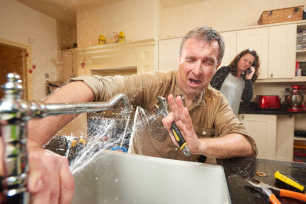 Best Flood damage cleanup  in Melvindale, MI